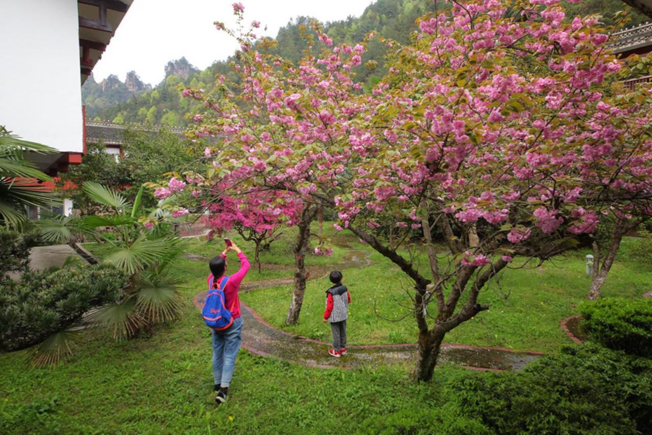 Hunan New Pipaxi Hotel Чжанцзяцзе Экстерьер фото